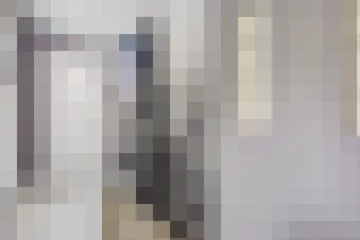 Muskaatstraat 7 Naaldwijk thumbnail 41