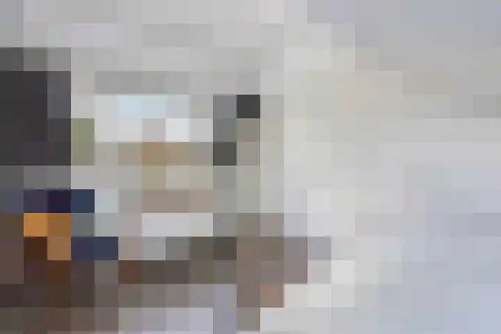 Muskaatstraat 7 Naaldwijk thumbnail 44