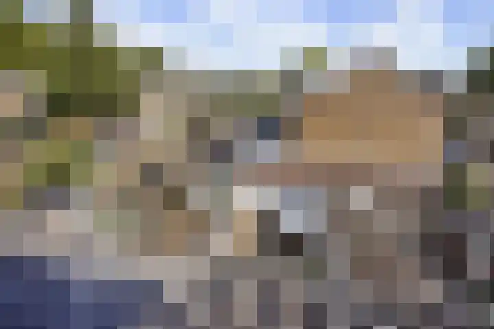 Muskaatstraat 7 Naaldwijk thumbnail 47