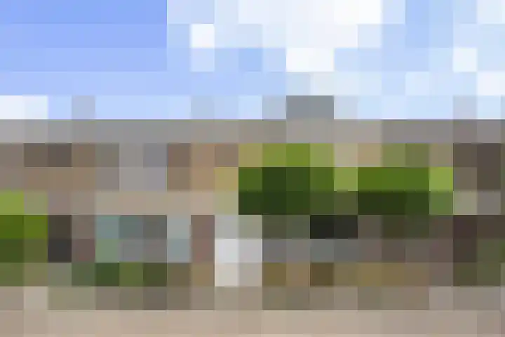 Muskaatstraat 7 Naaldwijk thumbnail 48