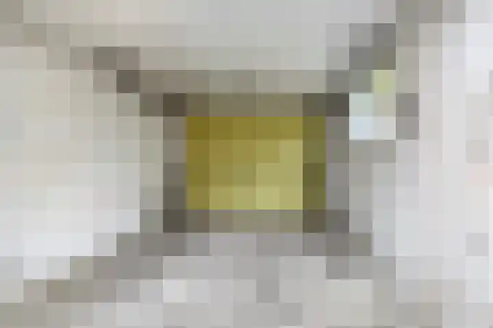 Muskaatstraat 9 Naaldwijk thumbnail 27