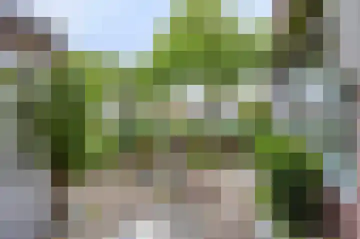 Muskaatstraat 9 Naaldwijk thumbnail 32