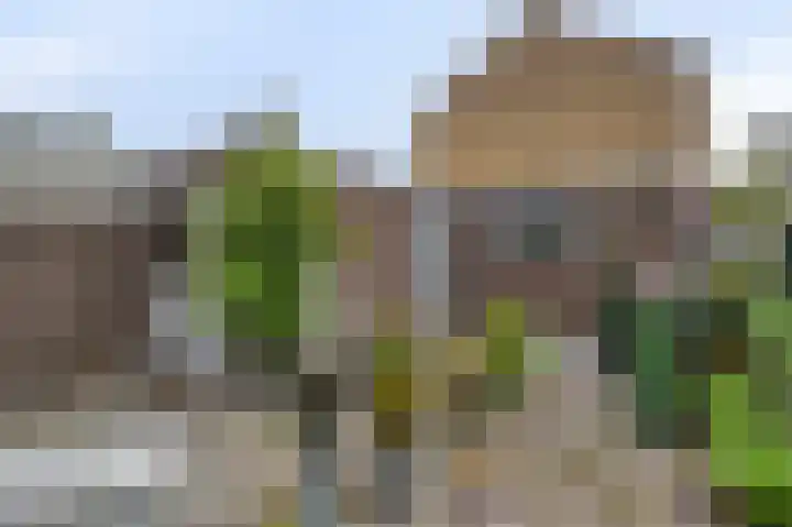 Muskaatstraat 9 Naaldwijk thumbnail 5