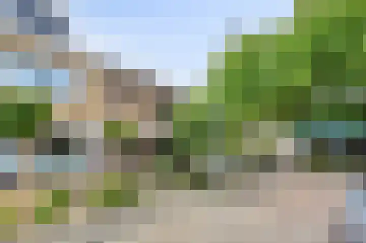 Muskaatstraat 9 Naaldwijk thumbnail 6