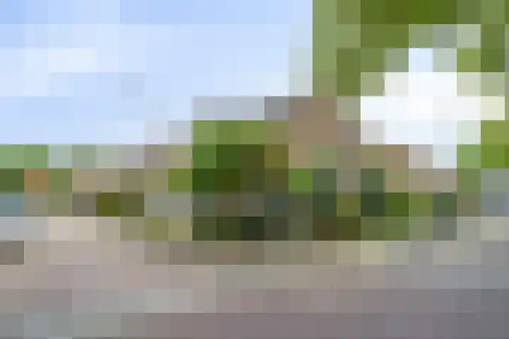 Muskaatstraat 9 Naaldwijk thumbnail 7