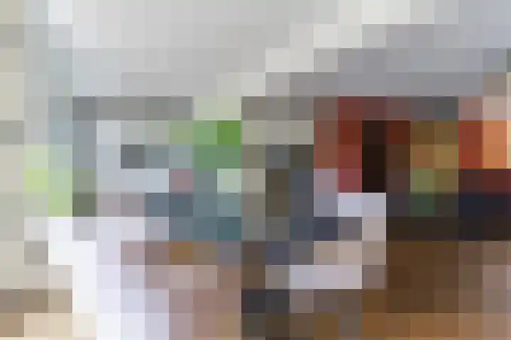 Muskaatveld 8 Veghel thumbnail 18