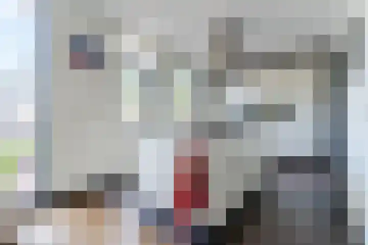 Muskaatveld 8 Veghel thumbnail 19