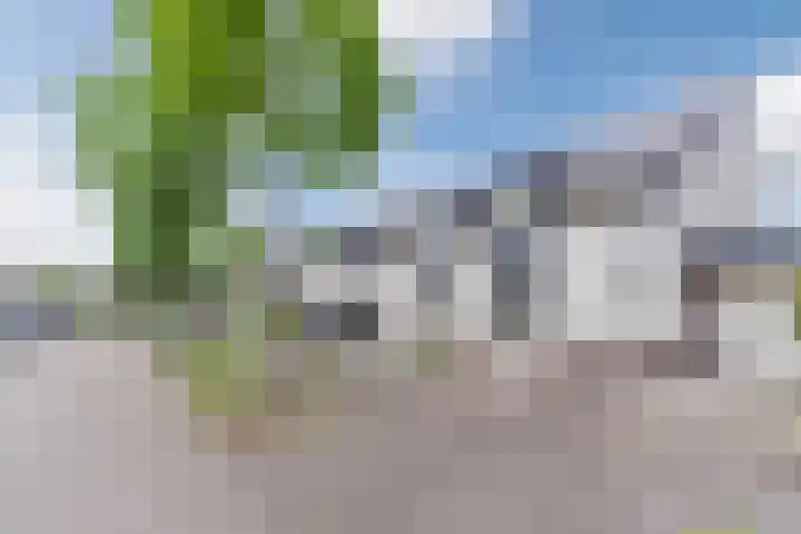 Muskaatveld 8 Veghel foto 2