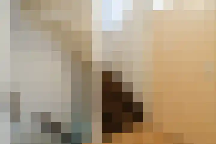 Muskaatveld 8 Veghel thumbnail 31