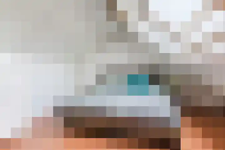 Muskaatveld 8 Veghel thumbnail 32