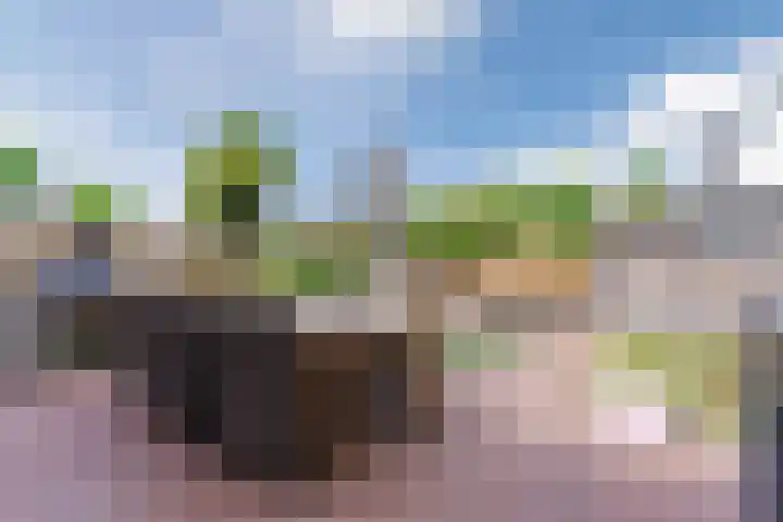 Muskaatveld 8 Veghel thumbnail 34