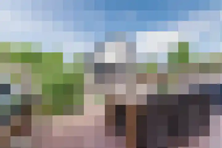 Muskaatveld 8 Veghel thumbnail 35