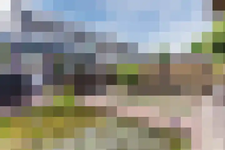 Muskaatveld 8 Veghel thumbnail 40