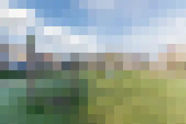 Muskaatveld 8 Veghel thumbnail 41