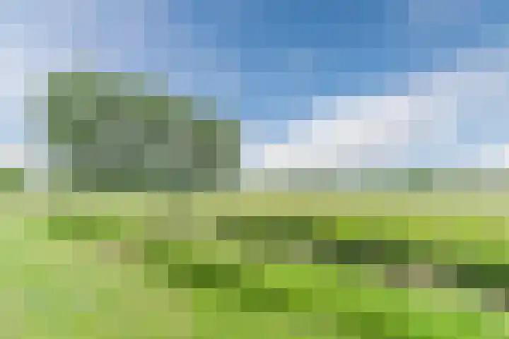 Muskaatveld 8 Veghel thumbnail 42