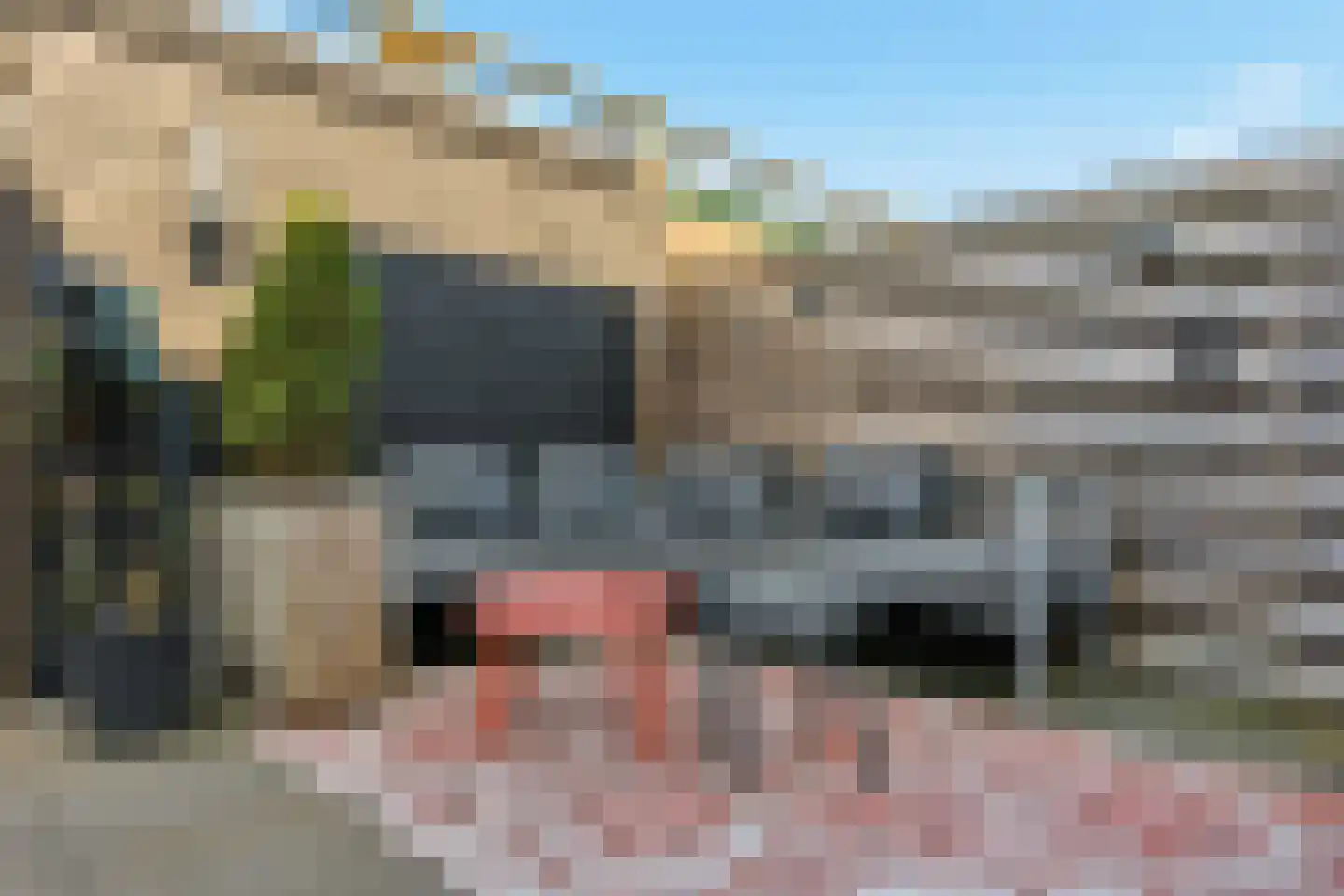 Musket 26 Heemskerk thumbnail 17