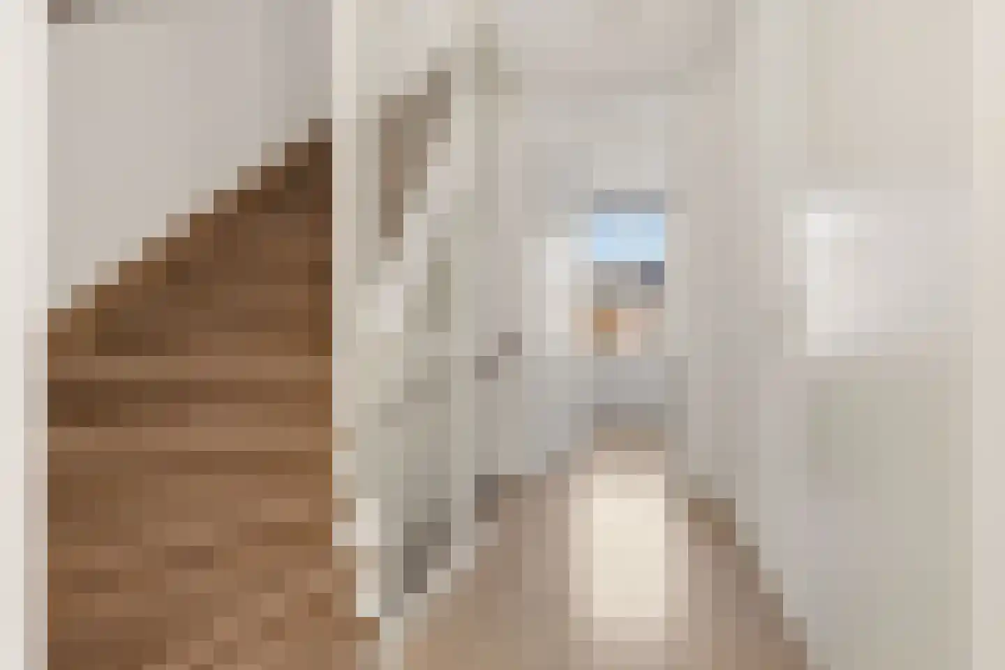 Musket 26 Heemskerk thumbnail 25