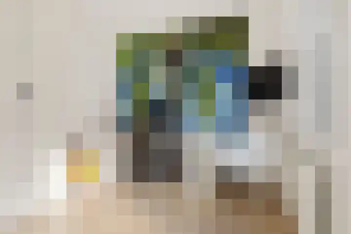 Musket 26 Heemskerk thumbnail 32