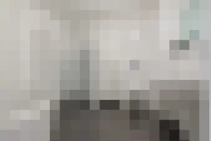 Musket 26 Heemskerk thumbnail 33