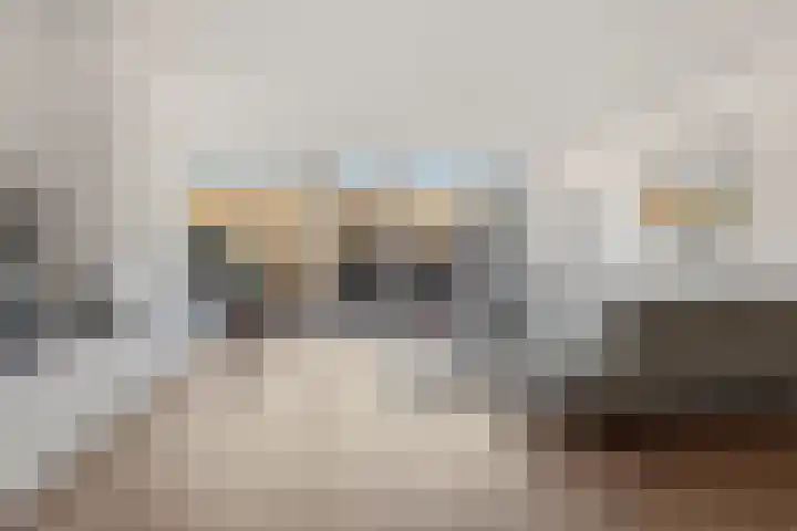 Musket 26 Heemskerk thumbnail 4