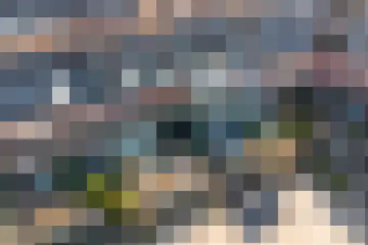 Musket 26 Heemskerk thumbnail 51