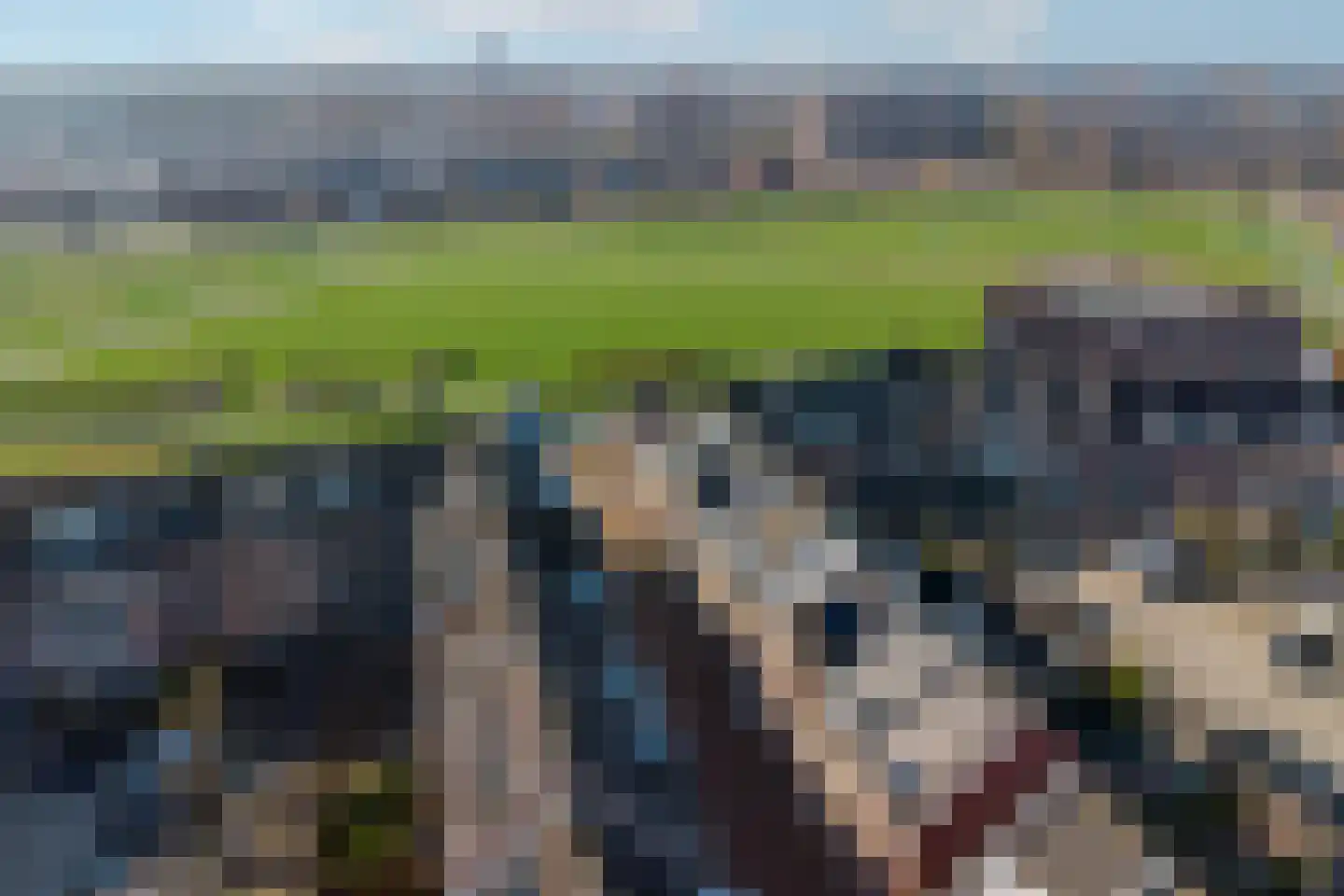 Musket 26 Heemskerk thumbnail 53