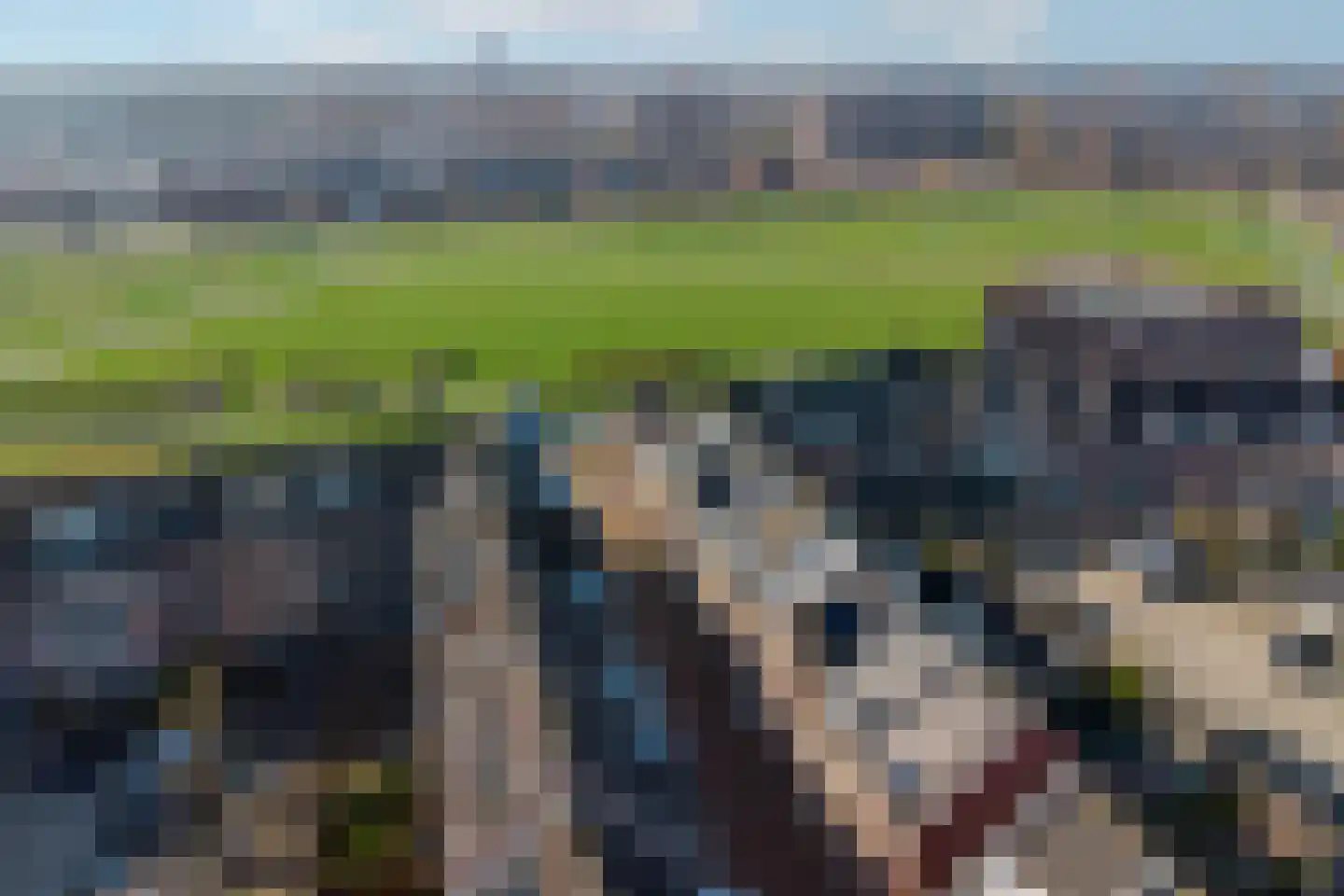 Musket 26 Heemskerk thumbnail 53