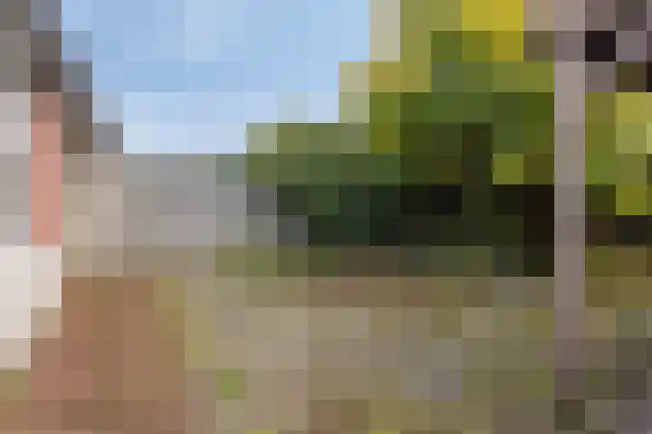 Musketier 36 Oss thumbnail 25