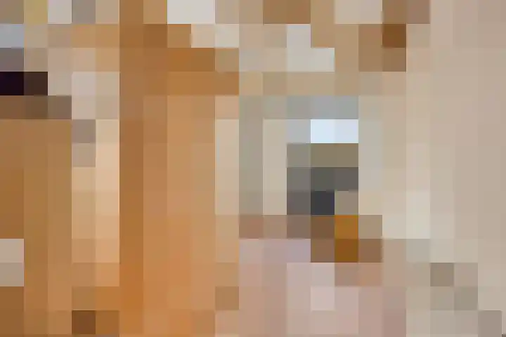 Musketier 36 Oss thumbnail 28