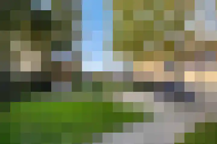 Musketier 8 Oss thumbnail 31
