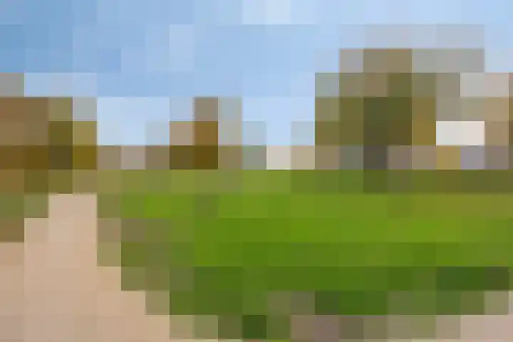 Musketier 8 Oss thumbnail 33
