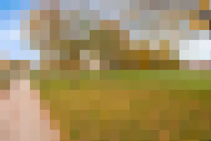 Musketier 8 Oss thumbnail 34