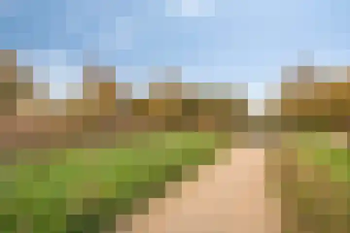 Musketier 8 Oss thumbnail 35