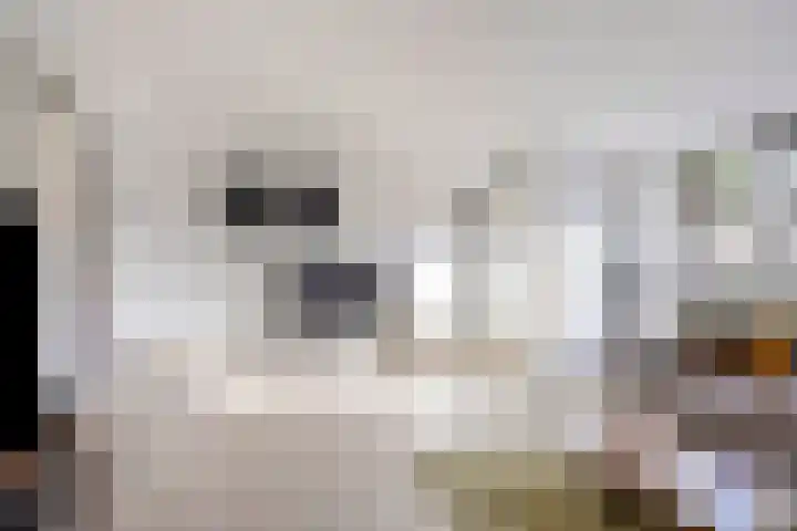 Musketier 8 Oss thumbnail 6