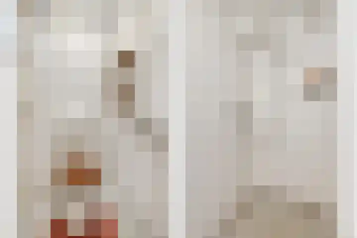 Musketierlaan 41 Utrecht thumbnail 17