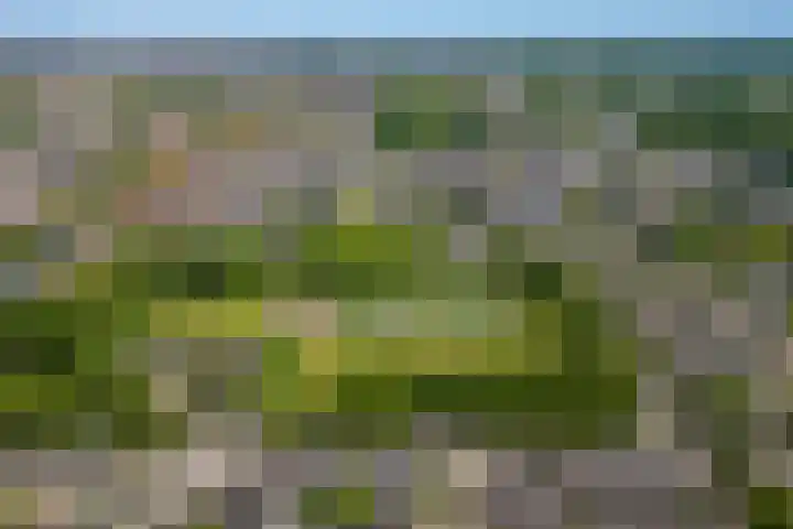 Musketierlaan 41 Utrecht thumbnail 23