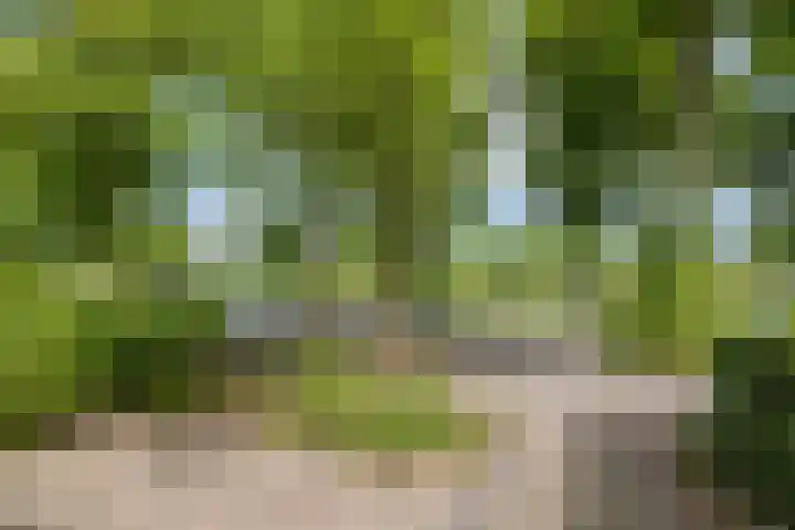 Musketierlaan 41 Utrecht thumbnail 8
