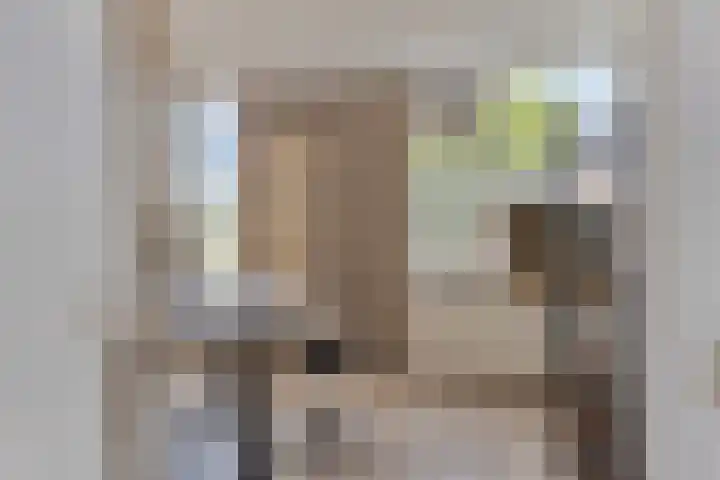 Musketiersveld 126 Apeldoorn thumbnail 18