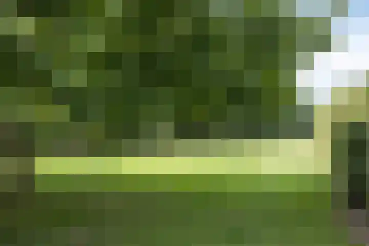Musketiersveld 126 Apeldoorn thumbnail 25