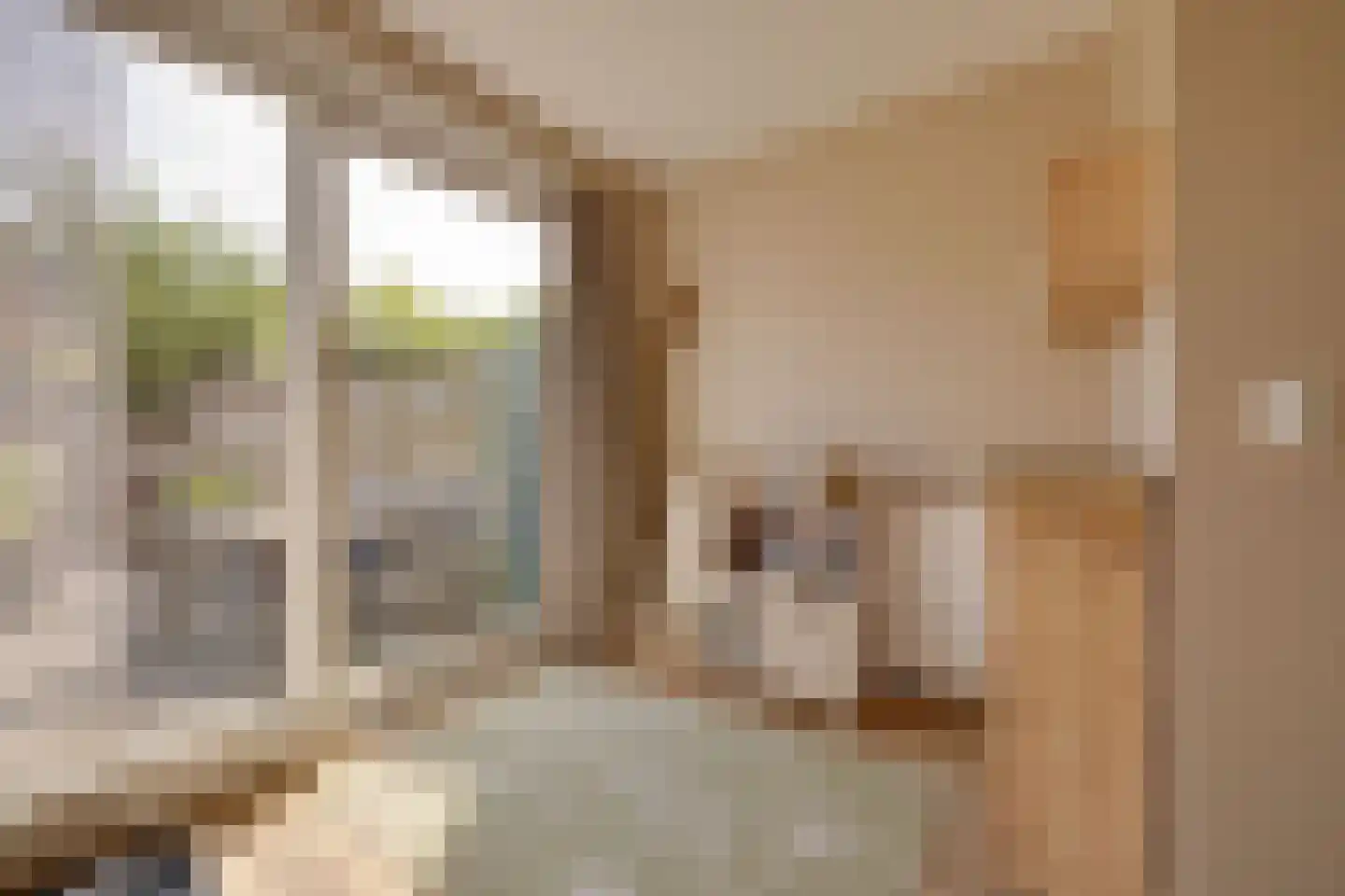 Musketiersveld 203 Apeldoorn thumbnail 10