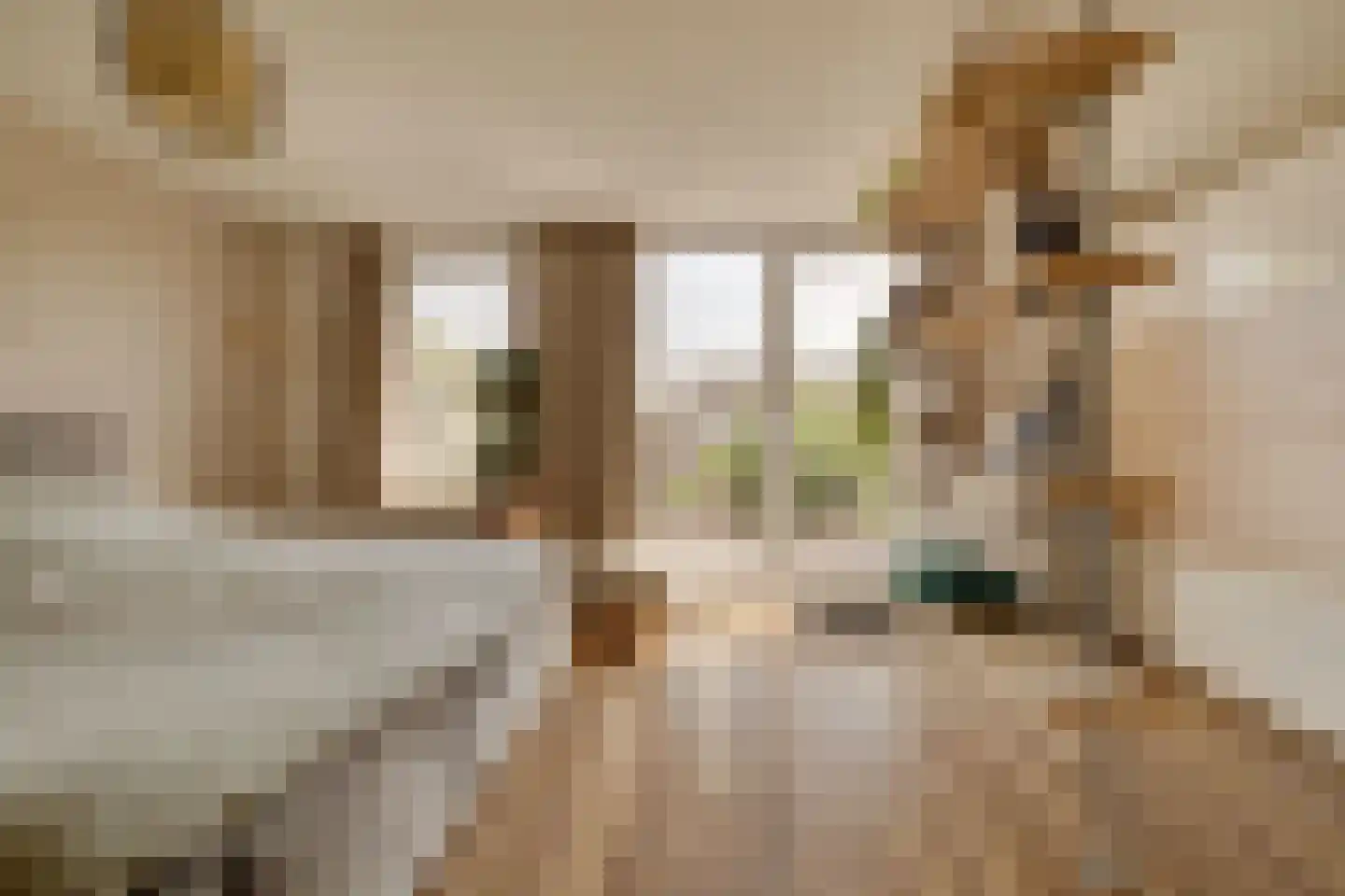 Musketiersveld 203 Apeldoorn thumbnail 18