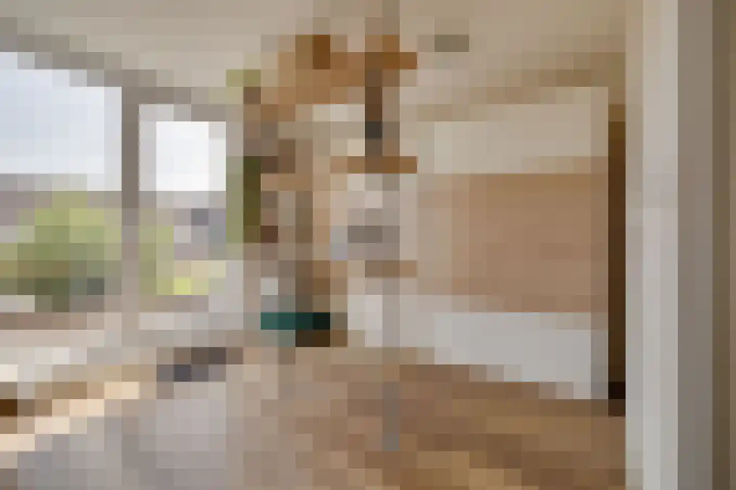 Musketiersveld 203 Apeldoorn thumbnail 22