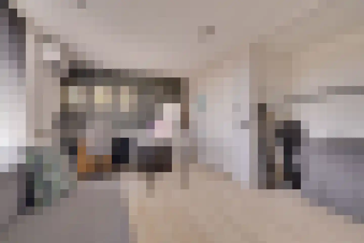 Musketiersveld 203 Apeldoorn thumbnail 31