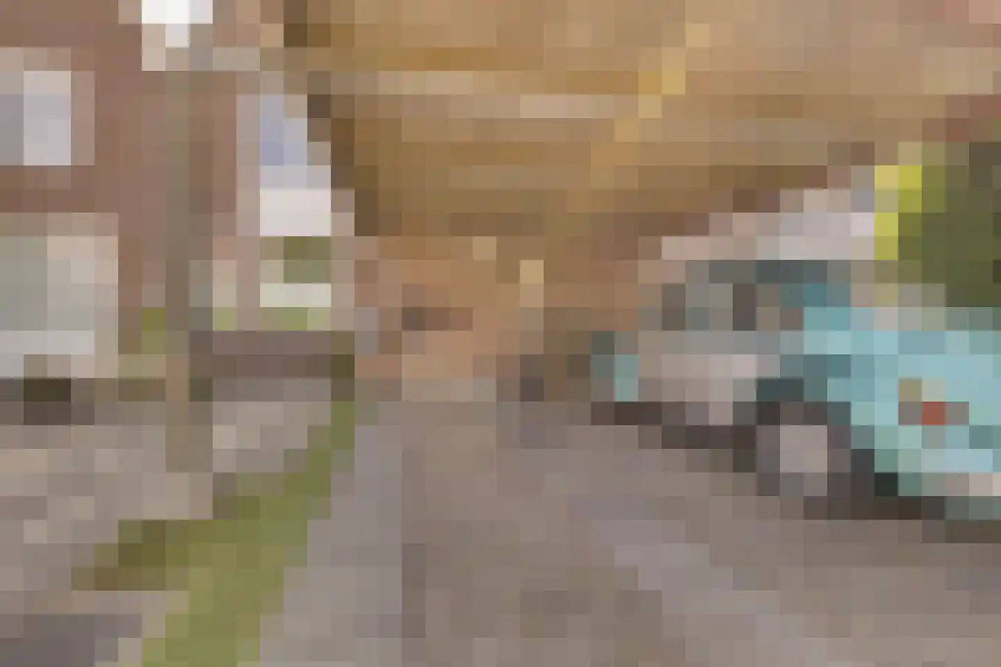 Musketiersveld 203 Apeldoorn thumbnail 41