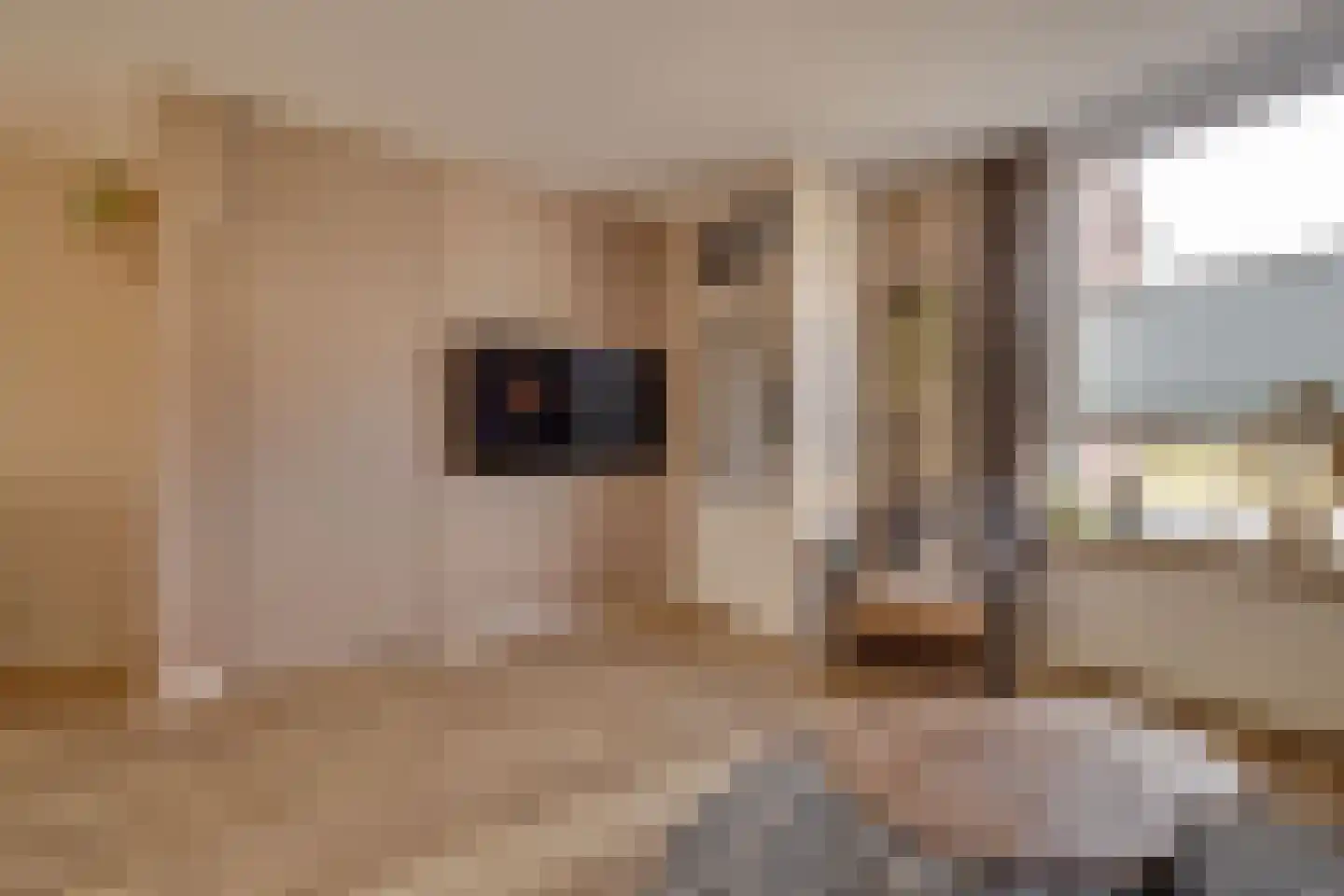 Musketiersveld 203 Apeldoorn thumbnail 5