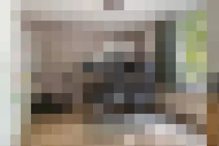 Musketiersveld 216 Apeldoorn thumbnail 17