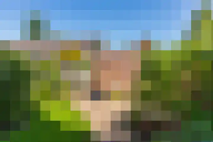 Musketiersveld 216 Apeldoorn thumbnail 27
