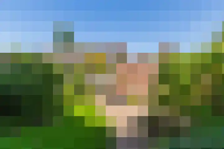 Musketiersveld 216 Apeldoorn thumbnail 28