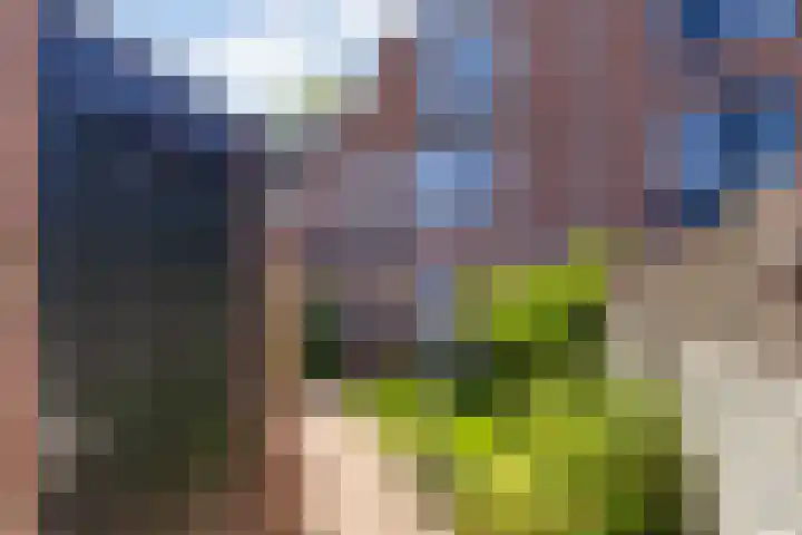 Musketiersveld 216 Apeldoorn thumbnail 29