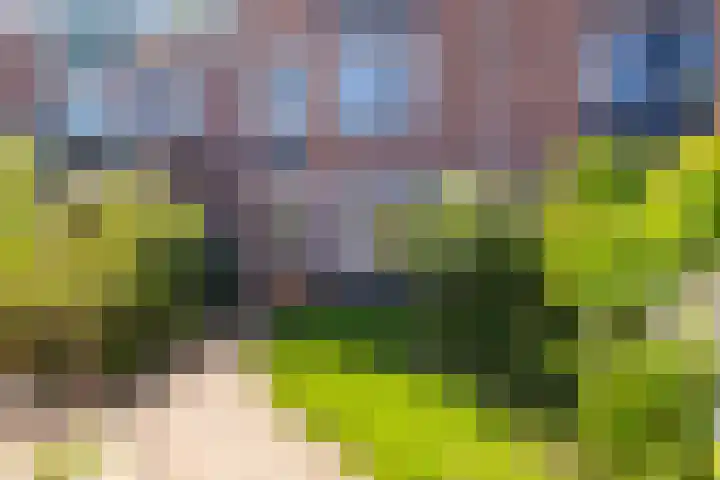 Musketiersveld 216 Apeldoorn thumbnail 30